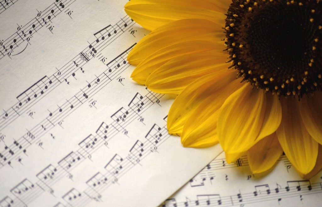 sunflower, sheet music, flower-7530639.jpg